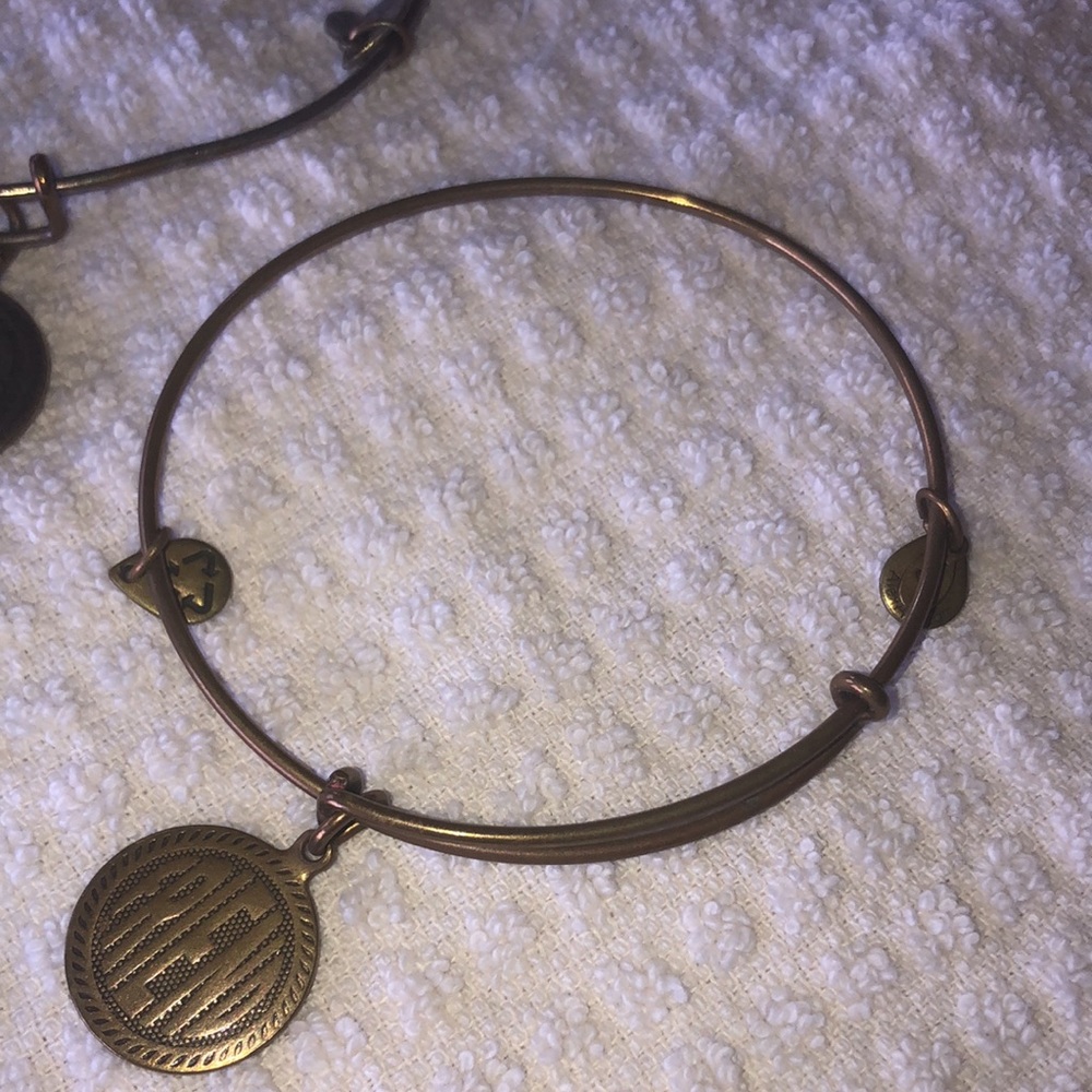 Alex and ani bracelets (4) - Picture 3 of 5